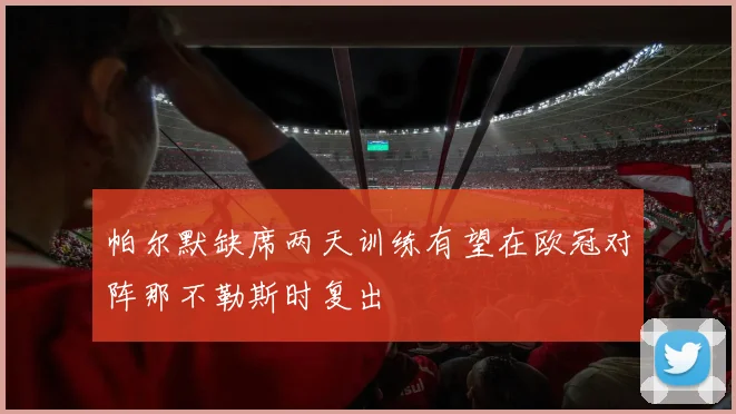 帕尔默缺席两天训练有望在欧冠对阵那不勒斯时复出