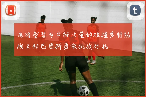 老将智慧与年轻力量的碰撞多特防线坚韧巴恩斯勇敢挑战对抗